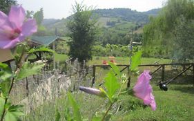 Le Spighe Agriturismo