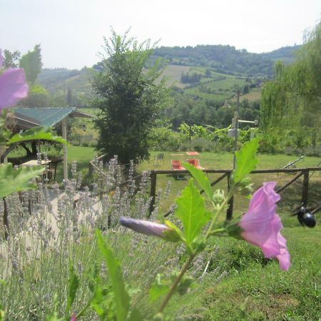 Le Spighe Agriturismo Чезена Экстерьер фото