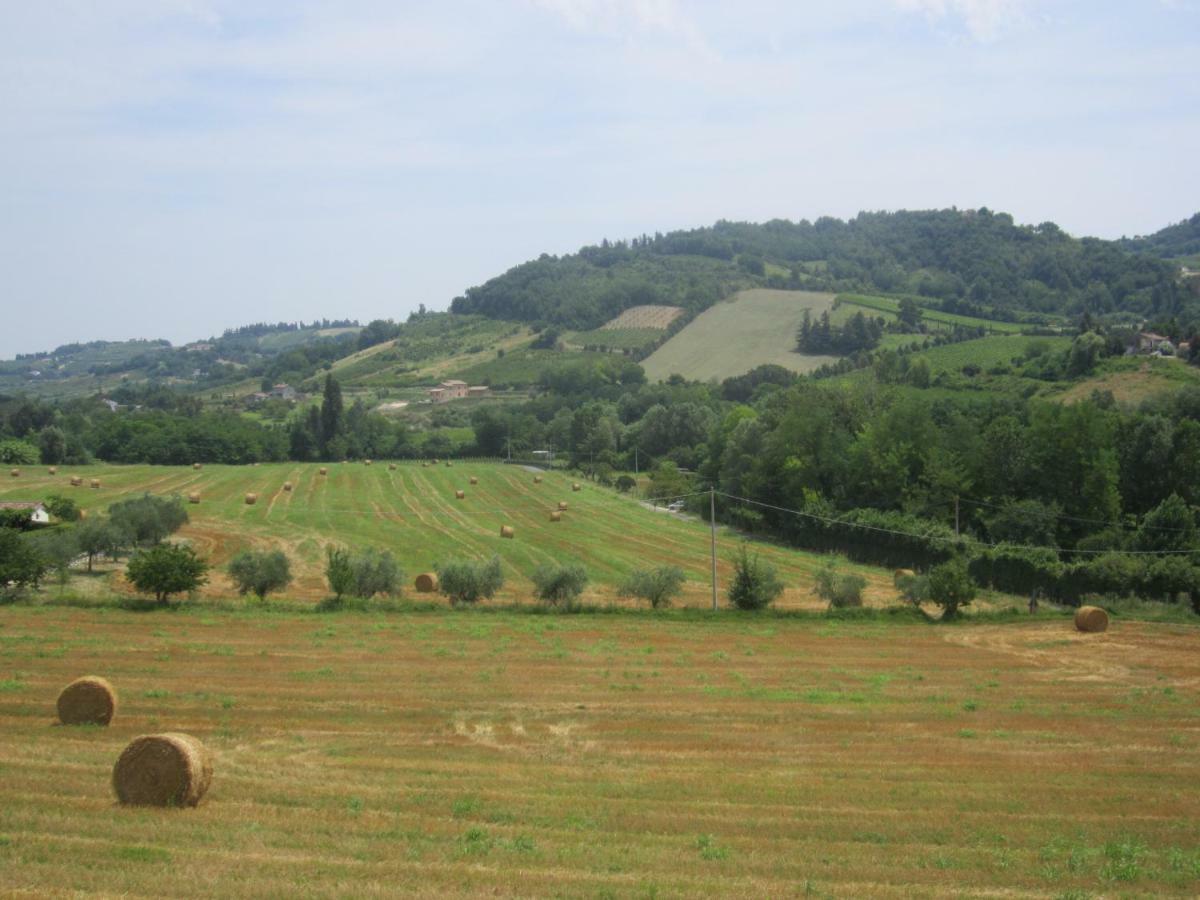 Le Spighe Agriturismo Чезена Экстерьер фото