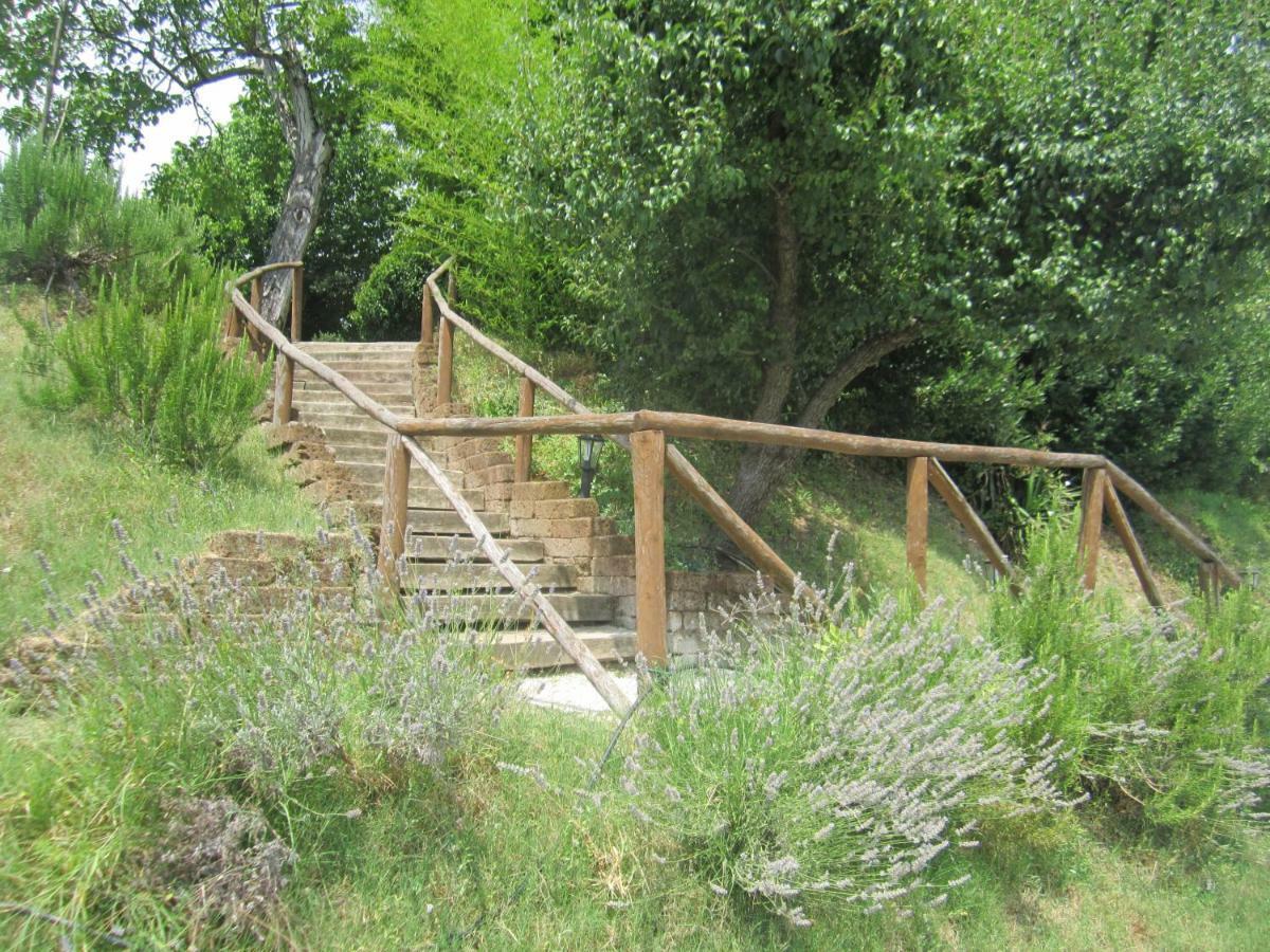 Le Spighe Agriturismo Чезена Экстерьер фото