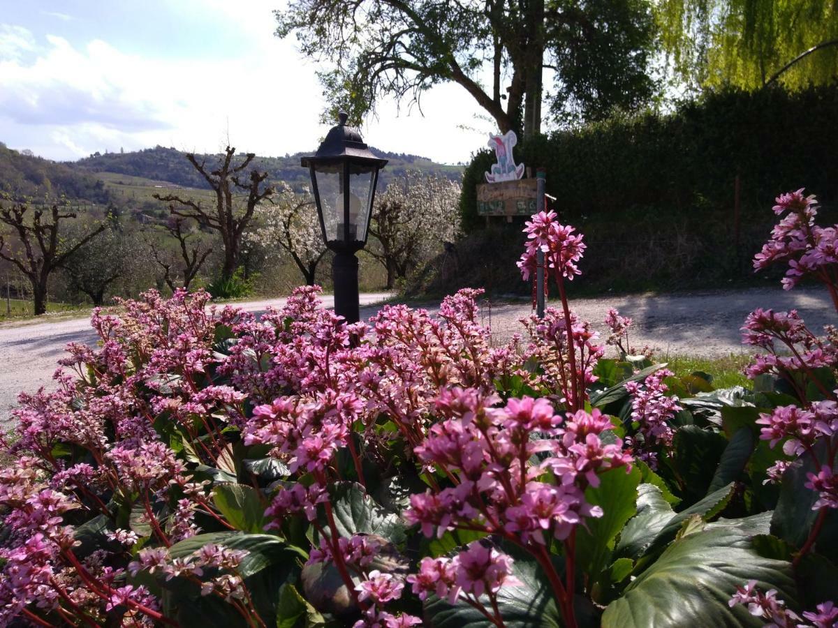 Le Spighe Agriturismo Чезена Экстерьер фото